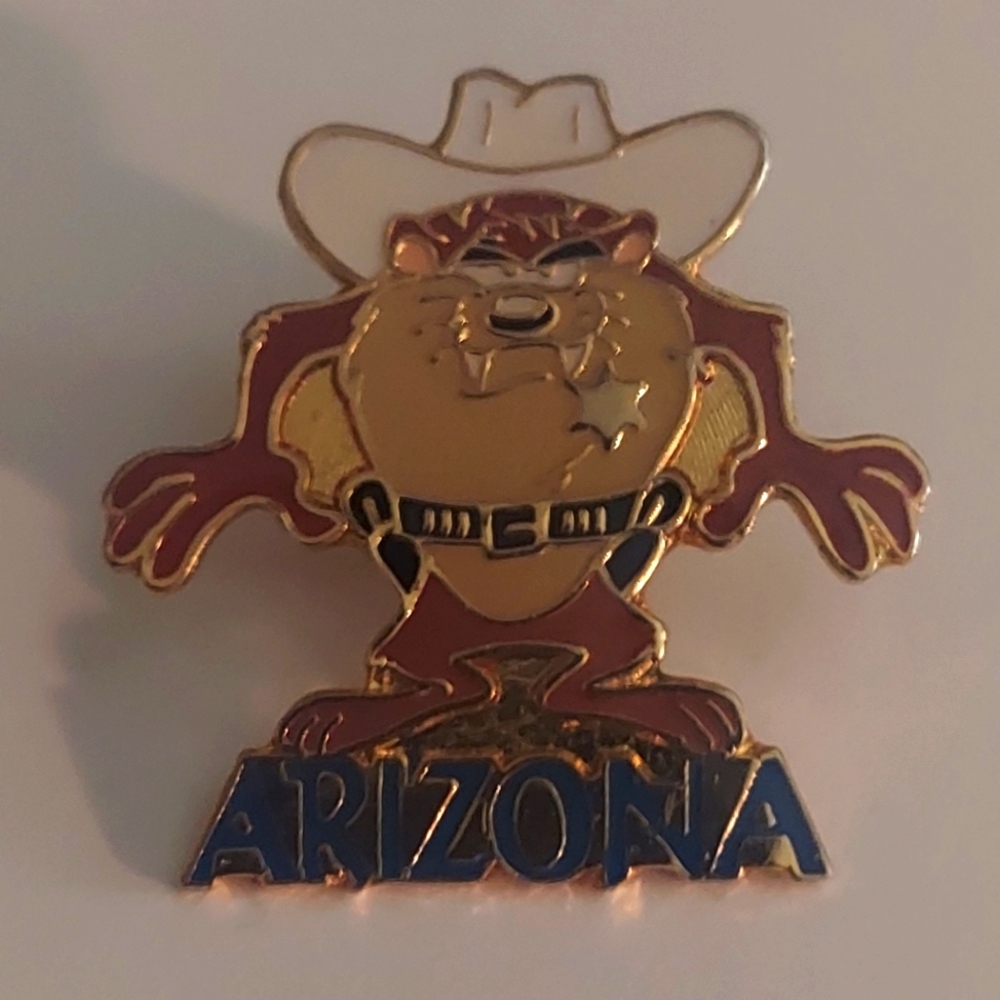 1990's Vintage Warner Brothers Tasmanian Devil Arizona Pin